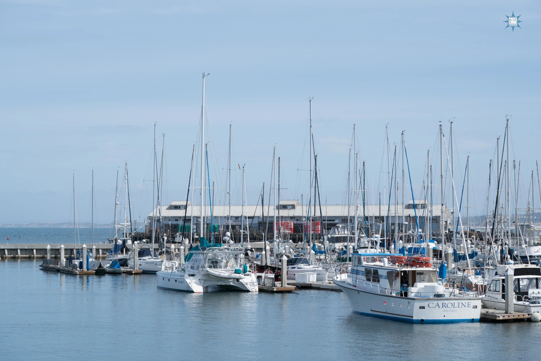 chidlaw marketing wharf boats